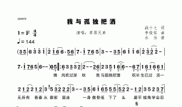 我与孤独把洒