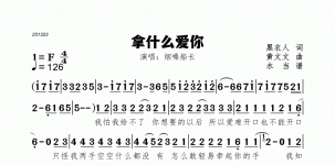 拿什么爱你