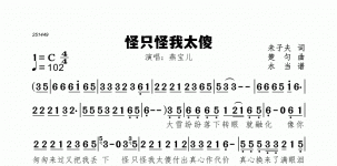 怪只怪我太傻