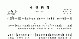小镇的花