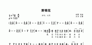 野菊花