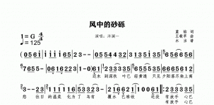 风吹的砂砾