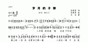 岁月的子弹