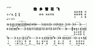 他乡雪花飞