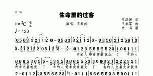 生命里的过客