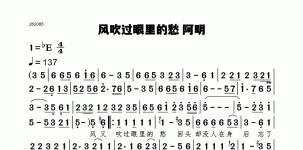 风吹过眼里的愁