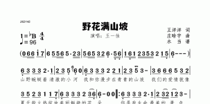 野花满山坡