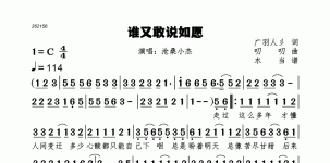 谁又敢说如愿